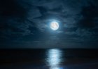 La Luna del Raccolto torna nel cielo di settembre: i dettagli da osservare